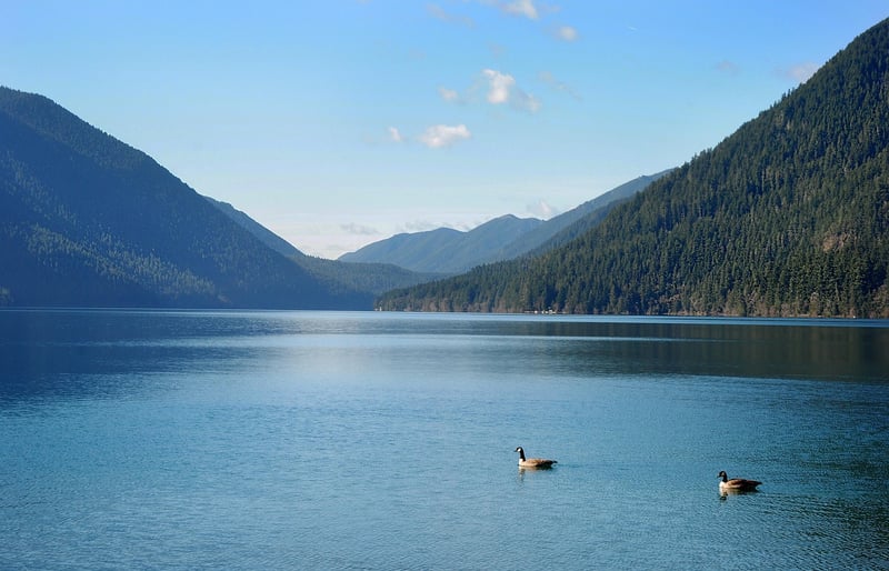 Olympic National Park